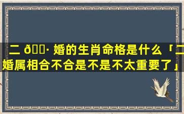 二 🌷 婚的生肖命格是什么「二婚属相合不合是不是不太重要了」